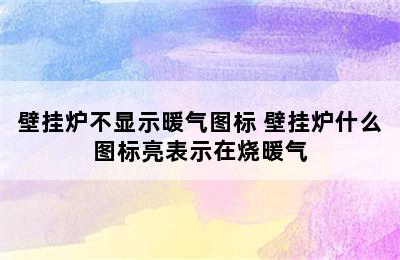 壁挂炉不显示暖气图标 壁挂炉什么图标亮表示在烧暖气